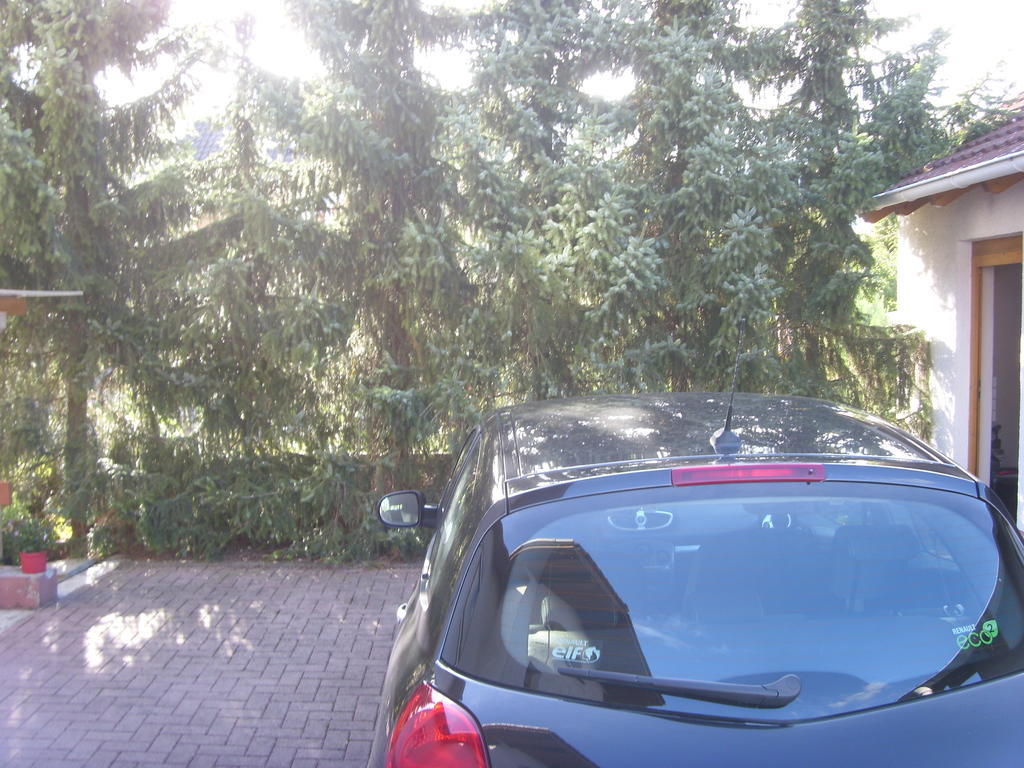Ferienwohnung Ina - Garantiert EP Tickets für unsere Gäste Rust Exterior foto